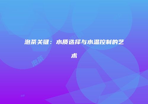 泡茶关键：水质选择与水温控制的艺术