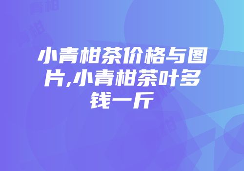 小青柑茶价格与图片,小青柑茶叶多钱一斤