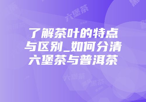 了解茶叶的特点与区别_如何分清六堡茶与普洱茶