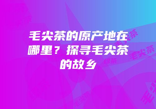 毛尖茶的原产地在哪里？探寻毛尖茶的故乡