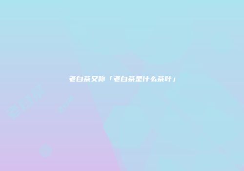 老白茶又称「老白茶是什么茶叶」
