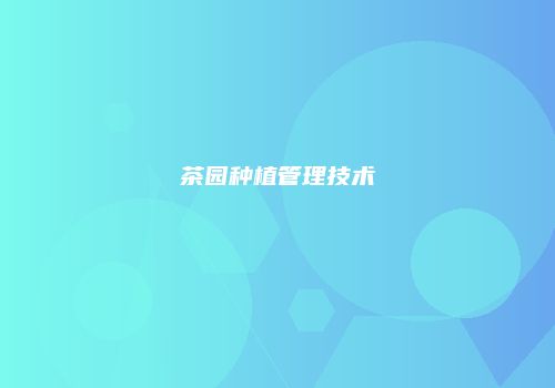 茶园种植管理技术