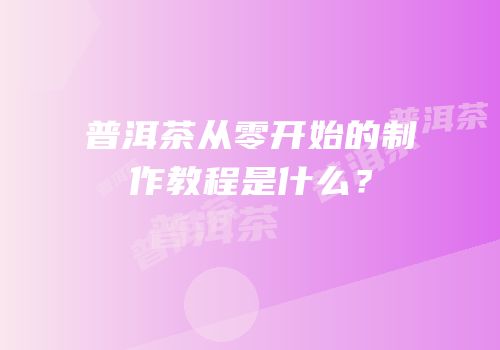 普洱茶从零开始的制作教程是什么？
