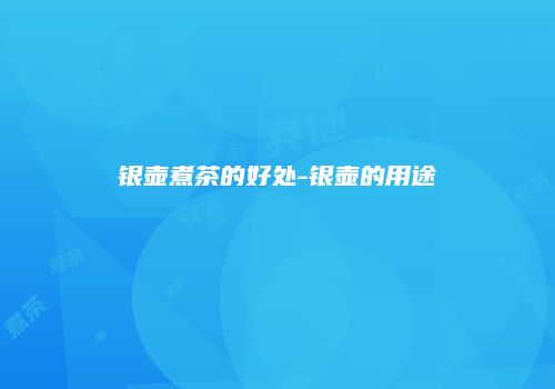 银壶煮茶的好处-银壶的用途