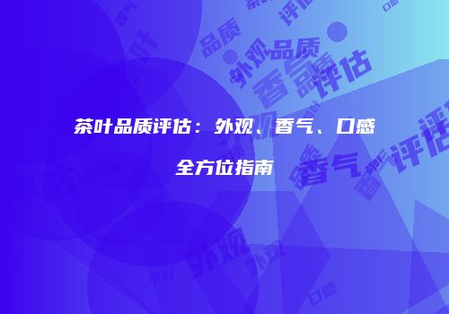 茶叶品质评估：外观、香气、口感全方位指南