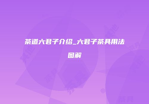 茶道六君子介绍_六君子茶具用法图解