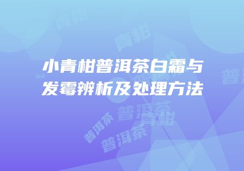 小青柑普洱茶白霜与发霉辨析及处理方法