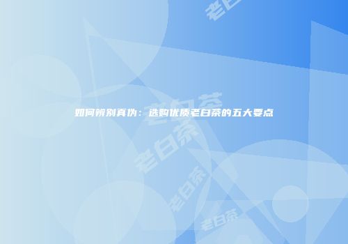 如何辨别真伪：选购优质老白茶的五大要点