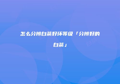怎么分辨白茶好坏等级「分辨好的白茶」