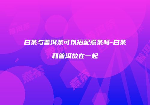 白茶与普洱茶可以搭配煮茶吗-白茶和普洱放在一起