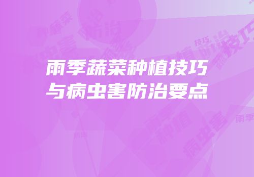 雨季蔬菜种植技巧与病虫害防治要点