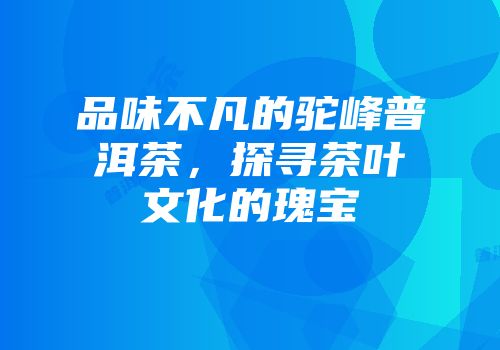 品味不凡的驼峰普洱茶，探寻茶叶文化的瑰宝