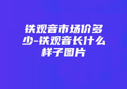铁观音市场价多少-铁观音长什么样子图片