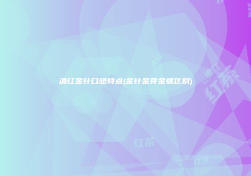 滇红金针口感特点(金针金芽金螺区别)