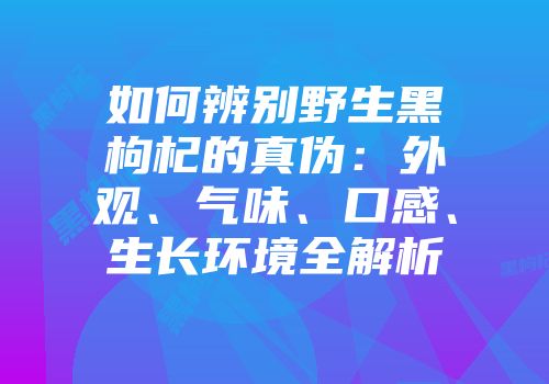 如何辨别野生黑枸杞的真伪：外观、气味、口感、生长环境全解析