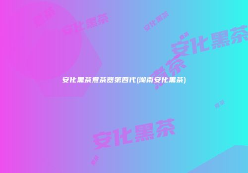 安化黑茶煮茶器第四代(湖南安化黑茶)