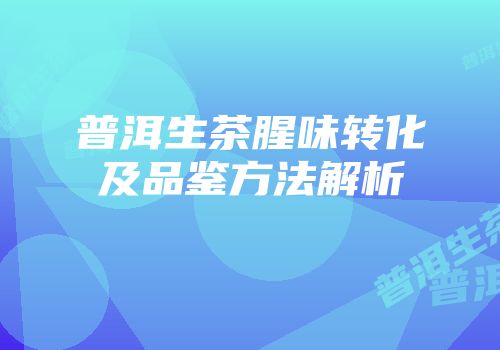 普洱生茶腥味转化及品鉴方法解析