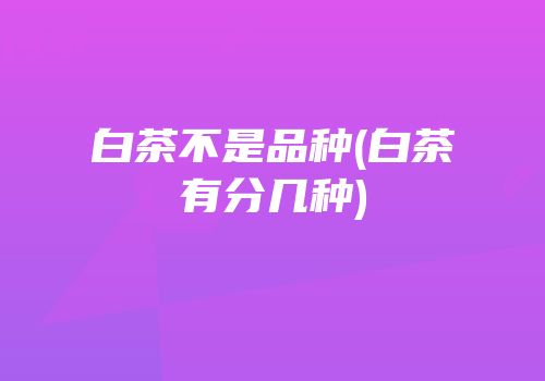白茶不是品种(白茶有分几种)