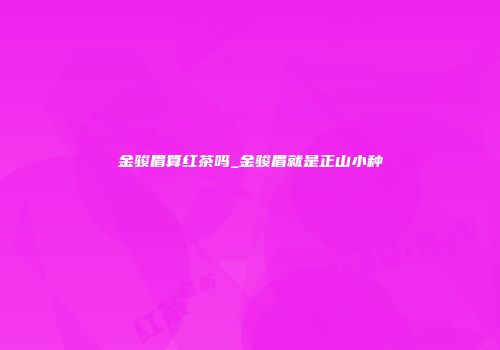金骏眉算红茶吗_金骏眉就是正山小种