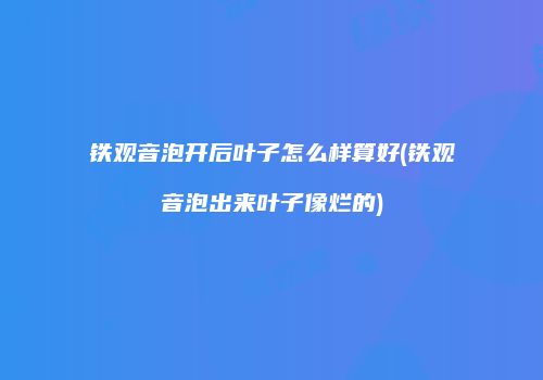 铁观音泡开后叶子怎么样算好(铁观音泡出来叶子像烂的)