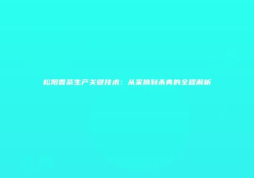 松阳香茶生产关键技术：从采摘到杀青的全程解析