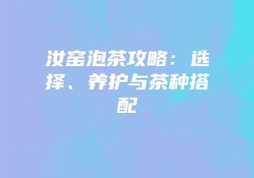 汝窑泡茶攻略：选择、养护与茶种搭配