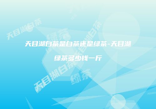 天目湖白茶是白茶还是绿茶-天目湖绿茶多少钱一斤