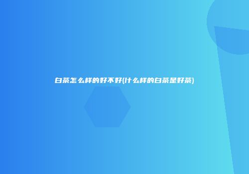 白茶怎么样的好不好(什么样的白茶是好茶)