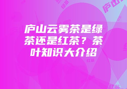 庐山云雾茶是绿茶还是红茶？茶叶知识大介绍