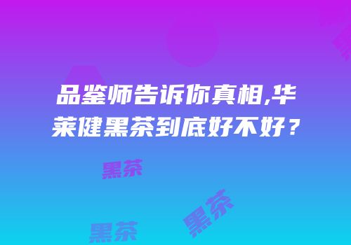 品鉴师告诉你真相,华莱健黑茶到底好不好？