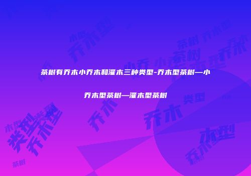 茶树有乔木小乔木和灌木三种类型-乔木型茶树—小乔木型茶树—灌木型茶树