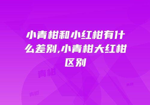 小青柑和小红柑有什么差别,小青柑大红柑区别