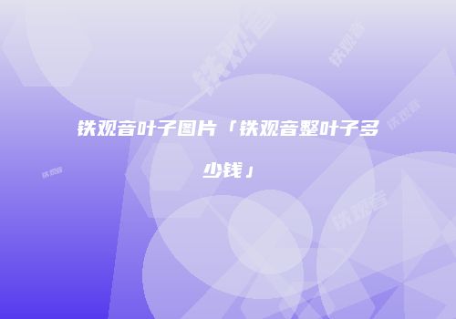 铁观音叶子图片「铁观音整叶子多少钱」