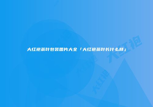 大红袍茶叶包装图片大全「大红袍茶叶长什么样」