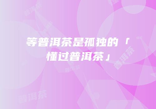 等普洱茶是孤独的「懂过普洱茶」