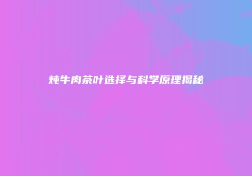 炖牛肉茶叶选择与科学原理揭秘