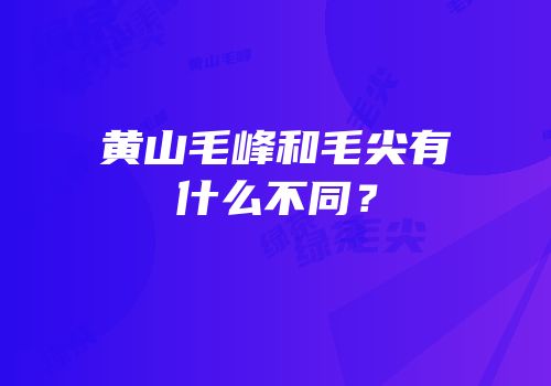 黄山毛峰和毛尖有什么不同？