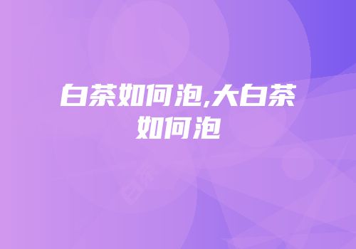 白茶如何泡,大白茶如何泡