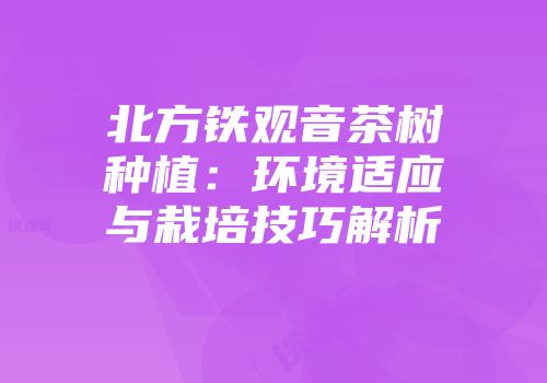 北方铁观音茶树种植：环境适应与栽培技巧解析