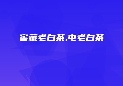 窖藏老白茶,屯老白茶