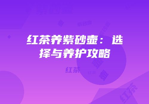 红茶养紫砂壶：选择与养护攻略