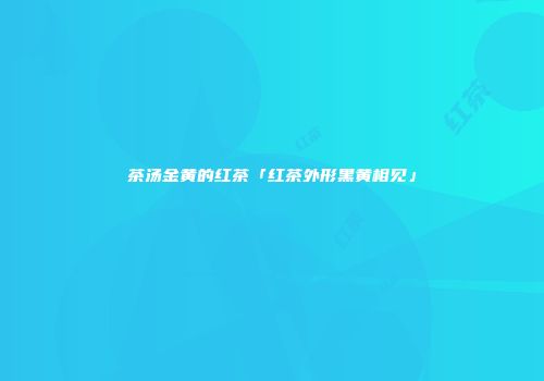 茶汤金黄的红茶「红茶外形黑黄相见」