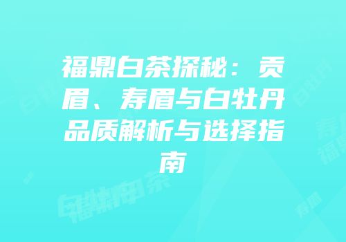 福鼎白茶探秘：贡眉、寿眉与白牡丹品质解析与选择指南