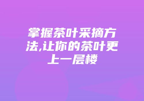 掌握茶叶采摘方法,让你的茶叶更上一层楼