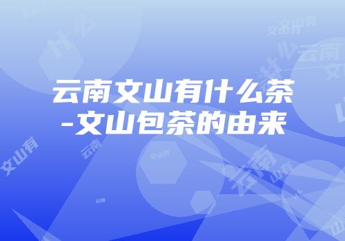 云南文山有什么茶-文山包茶的由来