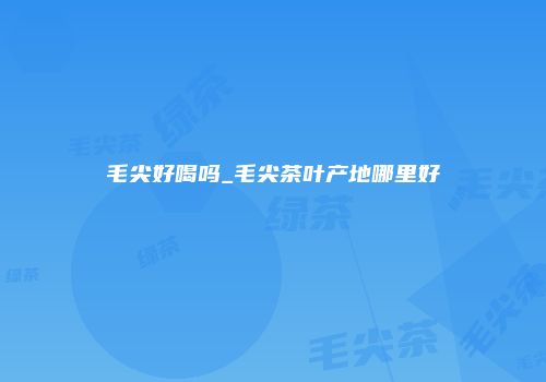 毛尖好喝吗_毛尖茶叶产地哪里好