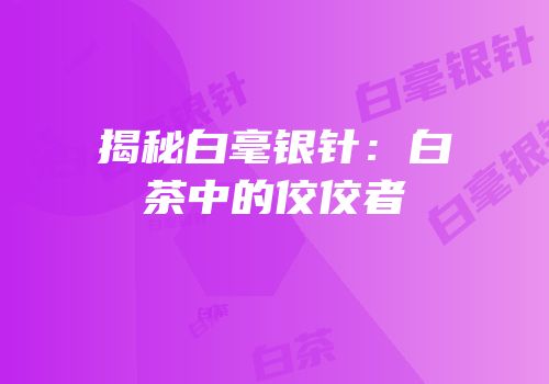 揭秘白毫银针：白茶中的佼佼者