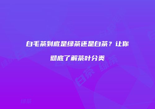 白毛茶到底是绿茶还是白茶？让你彻底了解茶叶分类
