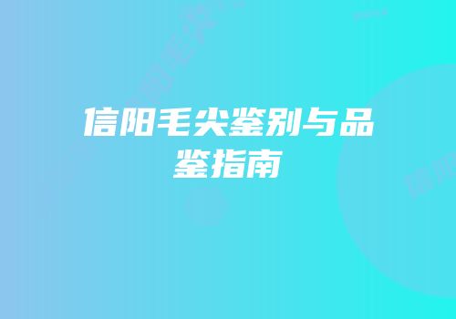 信阳毛尖鉴别与品鉴指南
