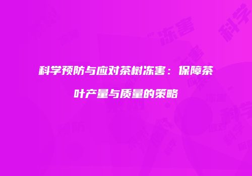 科学预防与应对茶树冻害：保障茶叶产量与质量的策略